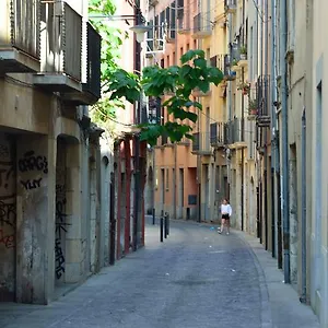 Apartament Housing Ginesta 9 Girona